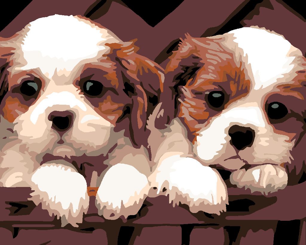 zuty Malování podle čísel - BÍLOHNĚDÁ ŠTĚŇÁTKA - Rozměr: 40x50 cm, Rámování: Varianta: vypnuté plátno na rám - obrázek 8