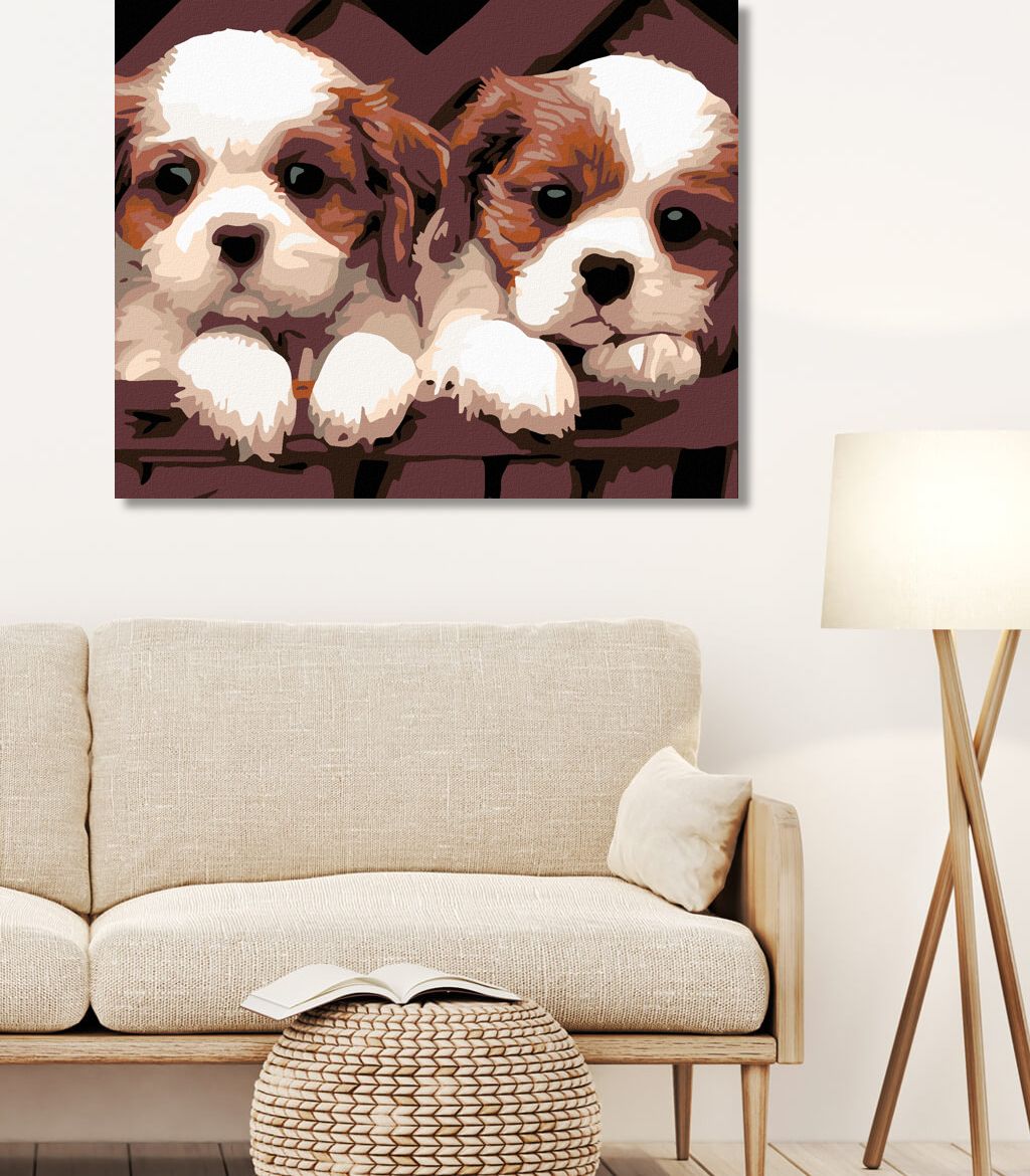 zuty Malování podle čísel - BÍLOHNĚDÁ ŠTĚŇÁTKA - Rozměr: 40x50 cm, Rámování: Varianta: vypnuté plátno na rám - obrázek 9