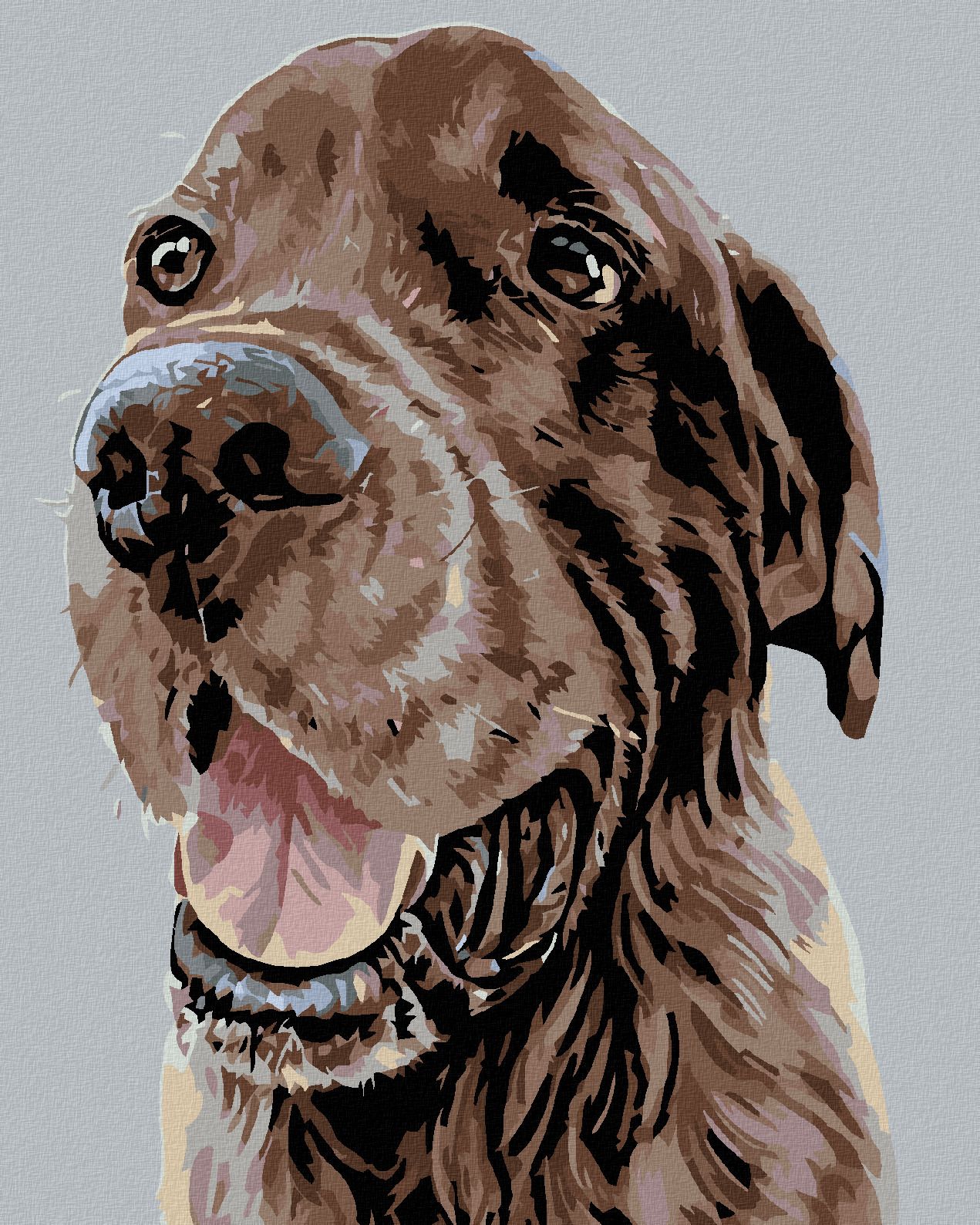 zuty Malování podle čísel - KRÁSNÝ HNĚDÝ SETR - Rozměr: 40x50 cm, Rámování: Varianta: vypnuté plátno na rám - obrázek 1