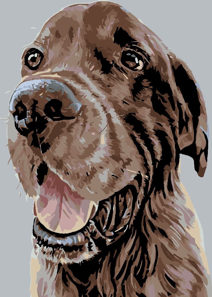 zuty Malování podle čísel - KRÁSNÝ HNĚDÝ SETR - Rozměr: 40x50 cm, Rámování: Varianta: vypnuté plátno na rám - obrázek 10