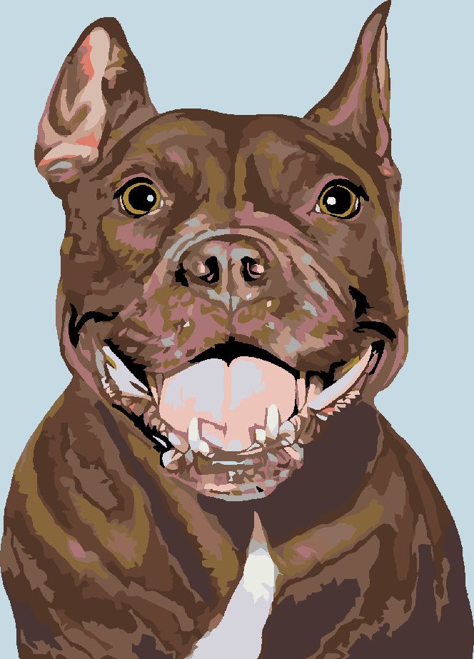 zuty Malování podle čísel - PITBULL - Rozměr: 40x50 cm, Rámování: Varianta: vypnuté plátno na rám - obrázek 9