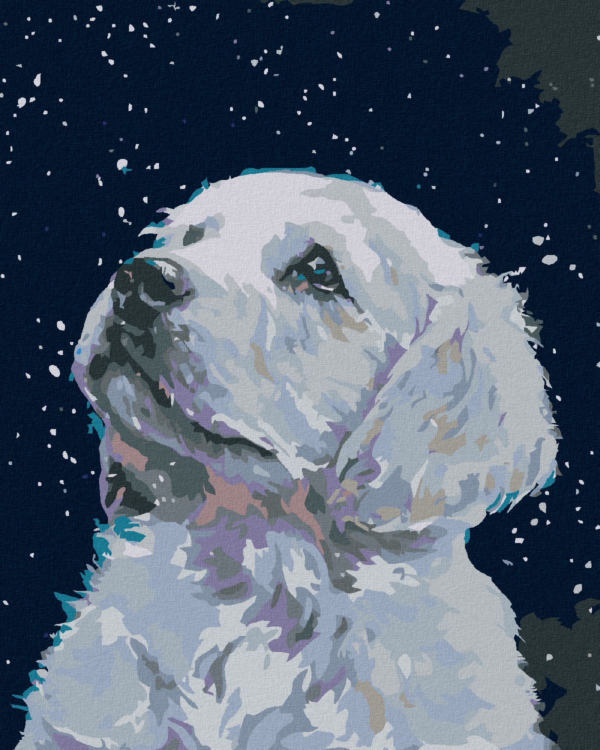 zuty Malování podle čísel - BÍLÉ ŠTĚŇÁTKO - Rozměr: 40x50 cm, Rámování: Varianta: vypnuté plátno na rám - obrázek 1