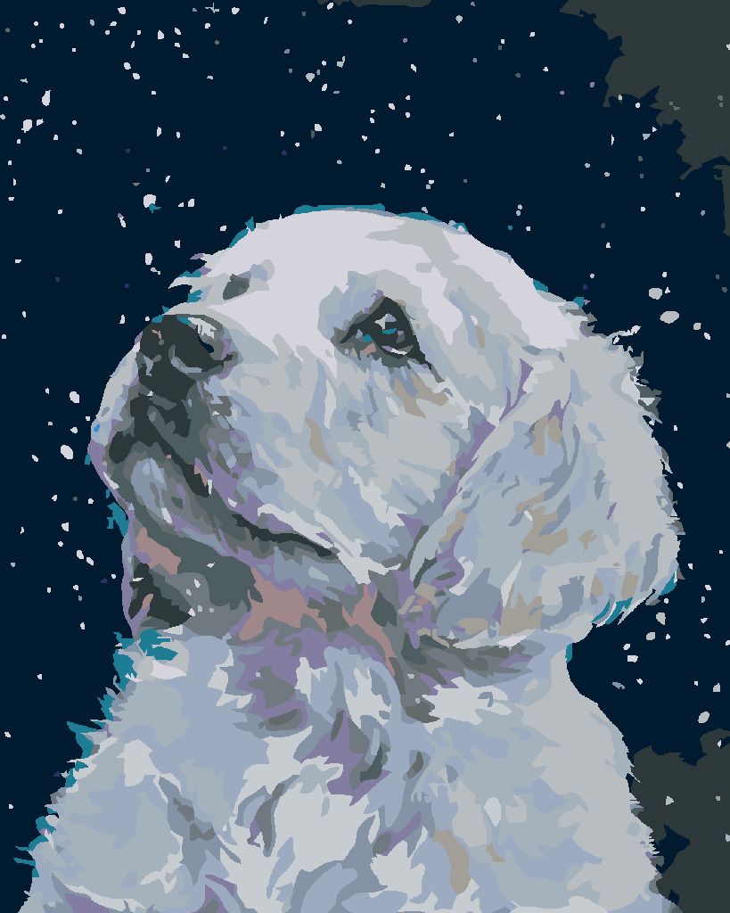 zuty Malování podle čísel - BÍLÉ ŠTĚŇÁTKO - Rozměr: 40x50 cm, Rámování: Varianta: vypnuté plátno na rám - obrázek 7