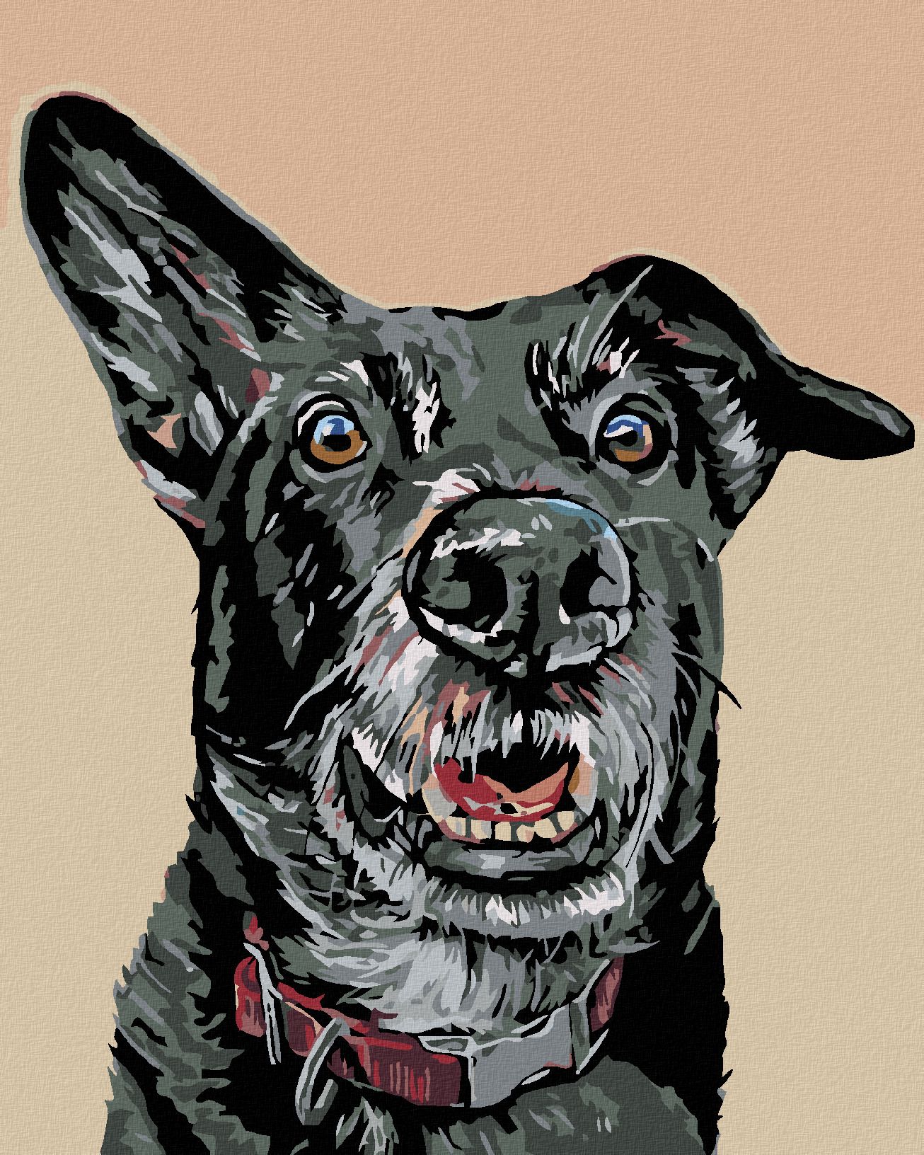 zuty Malování podle čísel - ČERNÝ PES A NASTRAŽENÉ UCHO - Rozměr: 40x50 cm, Rámování: Varianta: bez rámu a bez vypnutí plátna - obrázek 1