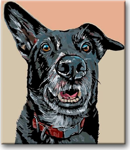 zuty Malování podle čísel - ČERNÝ PES A NASTRAŽENÉ UCHO - Rozměr: 40x50 cm, Rámování: Varianta: bez rámu a bez vypnutí plátna - obrázek 7