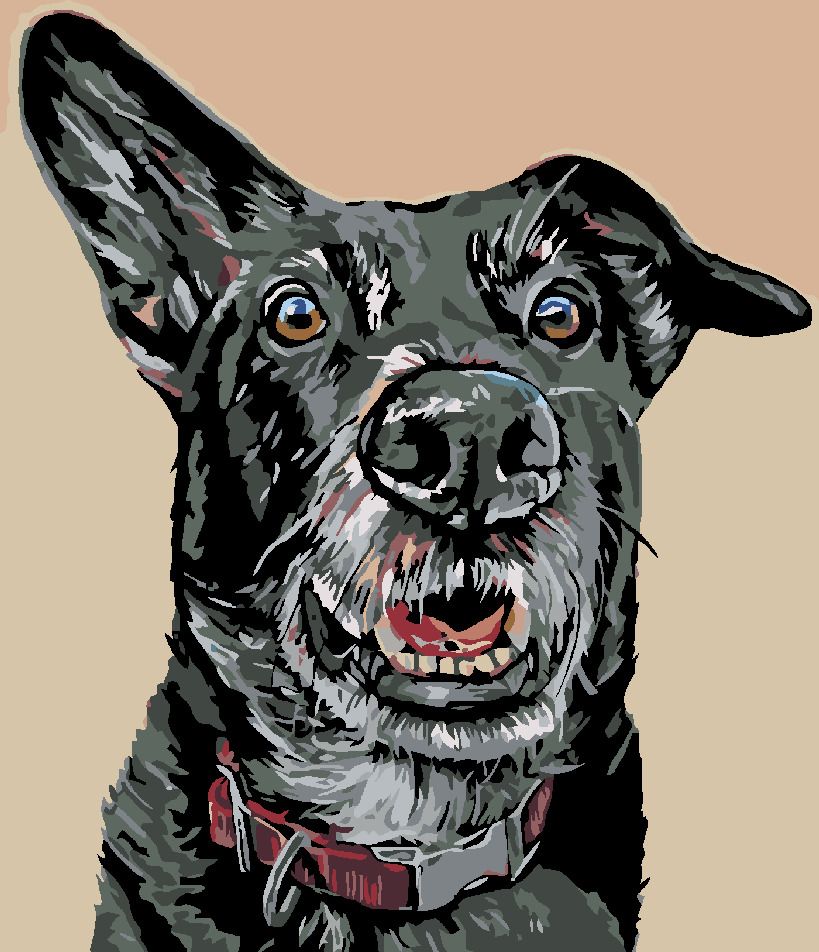 zuty Malování podle čísel - ČERNÝ PES A NASTRAŽENÉ UCHO - Rozměr: 40x50 cm, Rámování: Varianta: vypnuté plátno na rám - obrázek 14