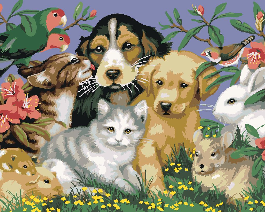 zuty Malování podle čísel - DOMÁCÍ ZVÍŘATA V PŘÍRODĚ (HOWARD ROBINSON) - Rozměr: 40x50 cm, Rámování: Varianta: vypnuté plátno na rám - obrázek 10