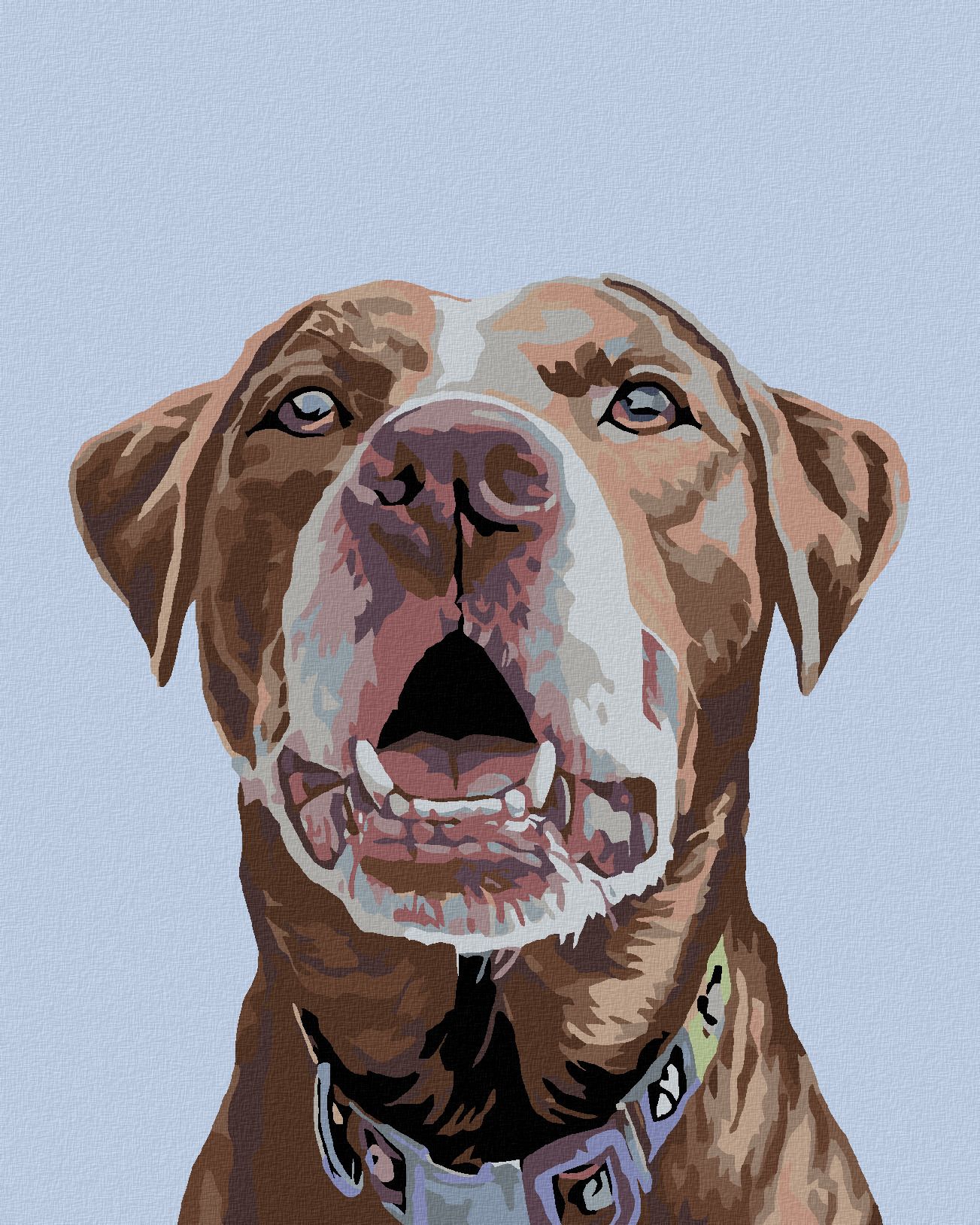 zuty Malování podle čísel - HNĚDÝ LABRADOR - Rozměr: 40x50 cm, Rámování: Varianta: bez rámu a bez vypnutí plátna - obrázek 1