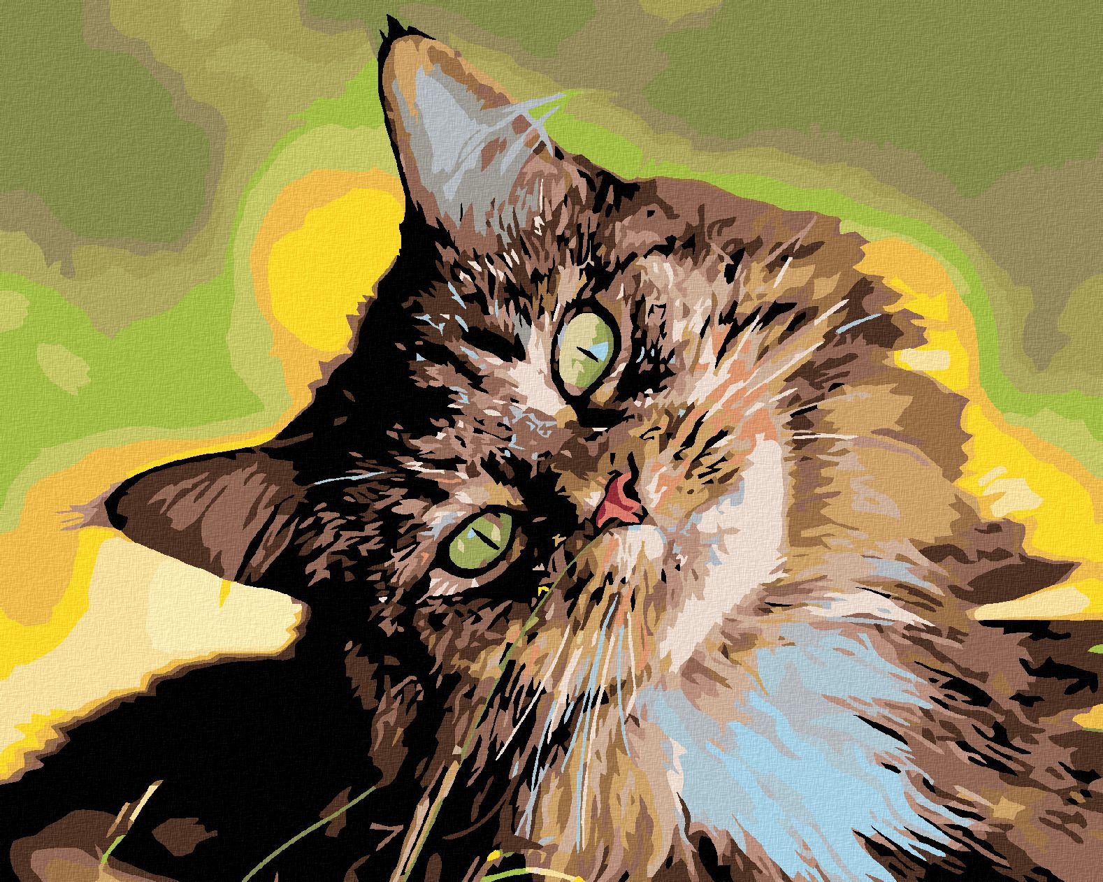 zuty Malování podle čísel - MOUROVATÝ KOCOUR - Rozměr: 40x50 cm, Rámování: Varianta: vypnuté plátno na rám - obrázek 1