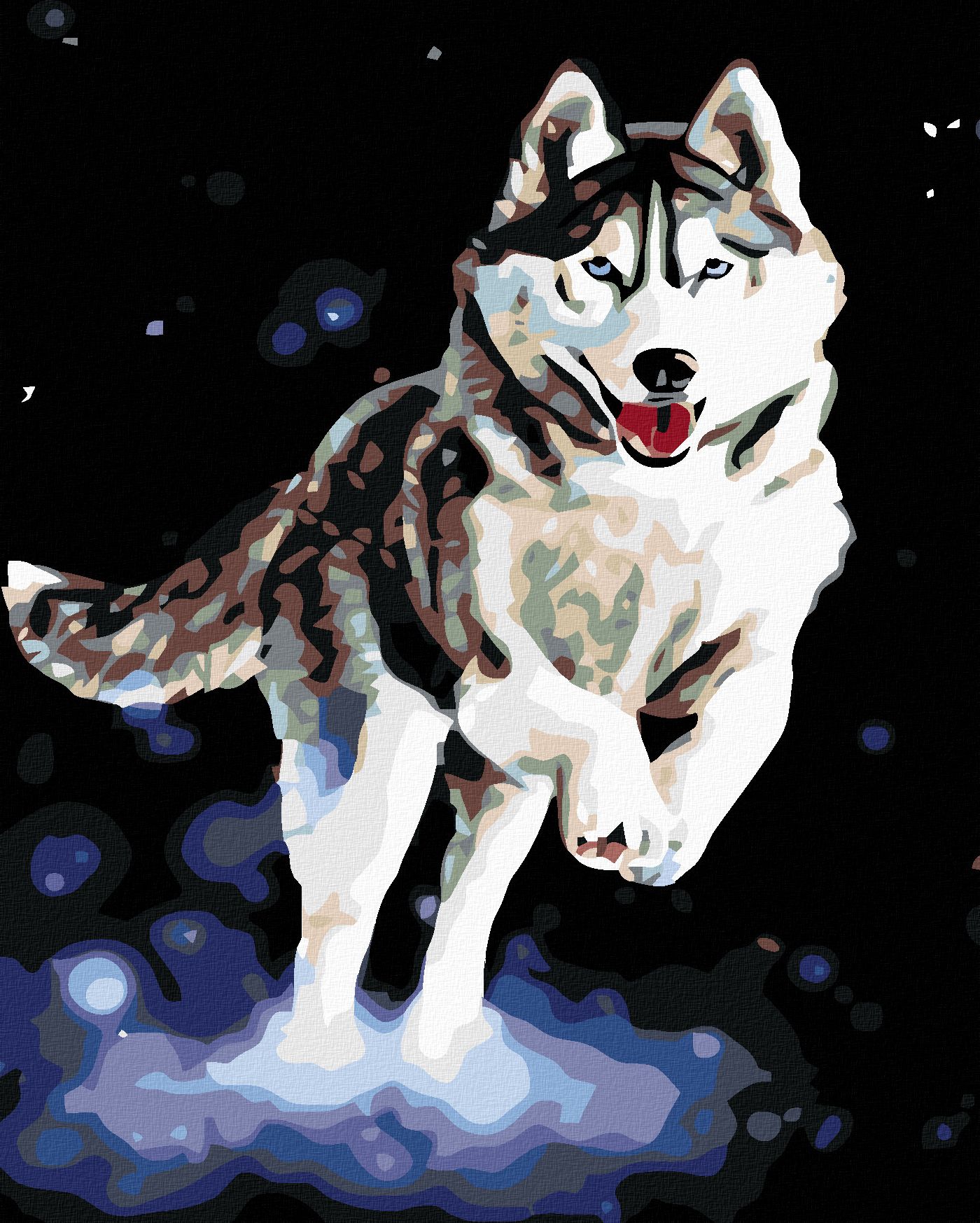 zuty Malování podle čísel - HUSKY - Rozměr: 40x50 cm, Rámování: Varianta: bez rámu a bez vypnutí plátna - obrázek 1