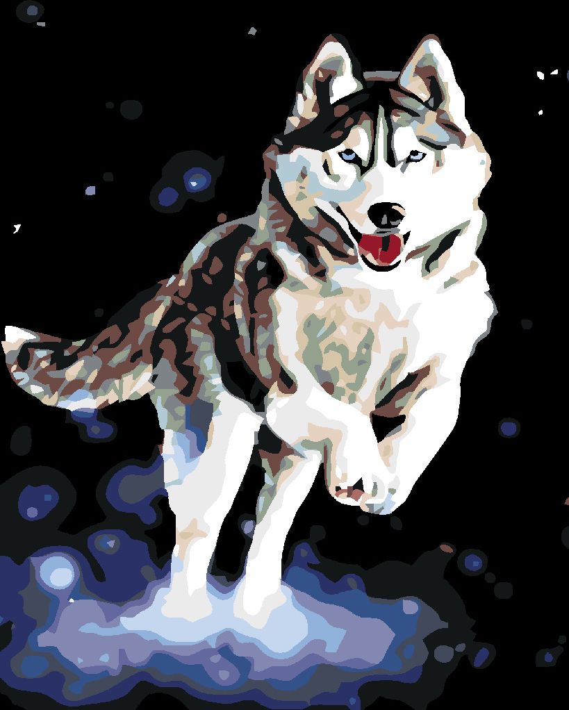 zuty Malování podle čísel - HUSKY - Rozměr: 40x50 cm, Rámování: Varianta: bez rámu a bez vypnutí plátna - obrázek 17