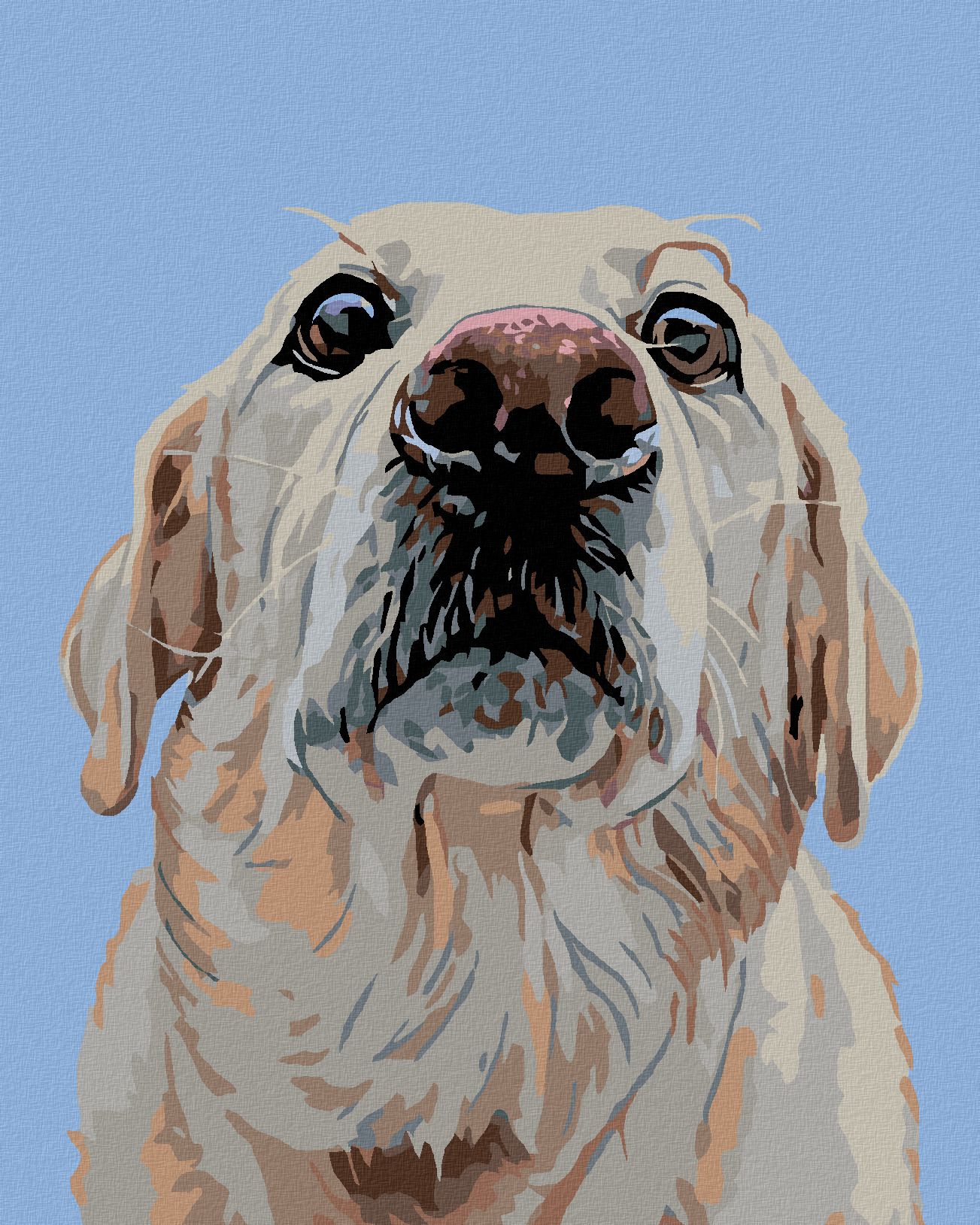 zuty Malování podle čísel - LABRADOR - Rozměr: 40x50 cm, Rámování: Varianta: vypnuté plátno na rám - obrázek 1