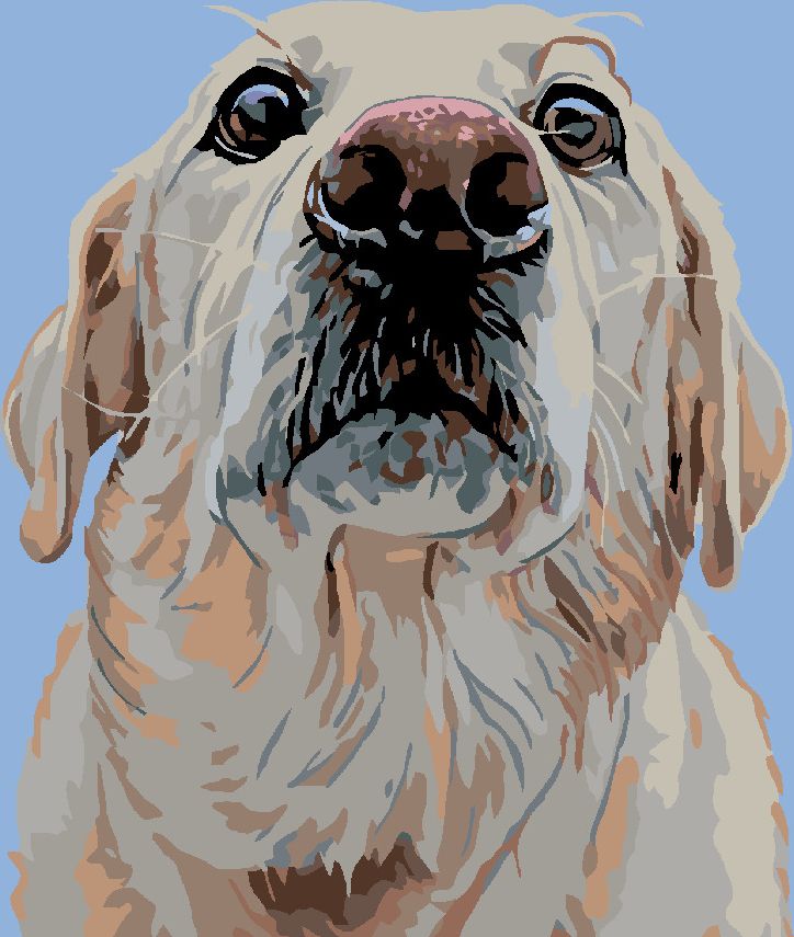 zuty Malování podle čísel - LABRADOR - Rozměr: 40x50 cm, Rámování: Varianta: vypnuté plátno na rám - obrázek 3