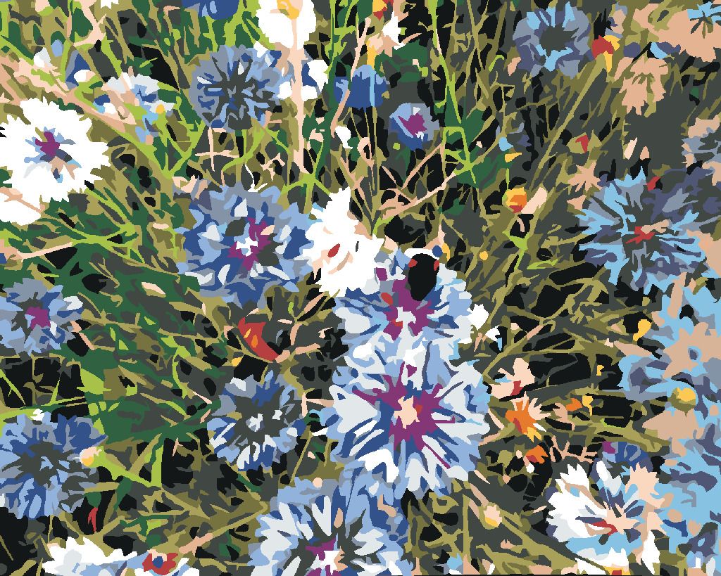 zuty Malování podle čísel - CHRPY MODRÉ - Rozměr: 40x50 cm, Rámování: Varianta: vypnuté plátno na rám - obrázek 10