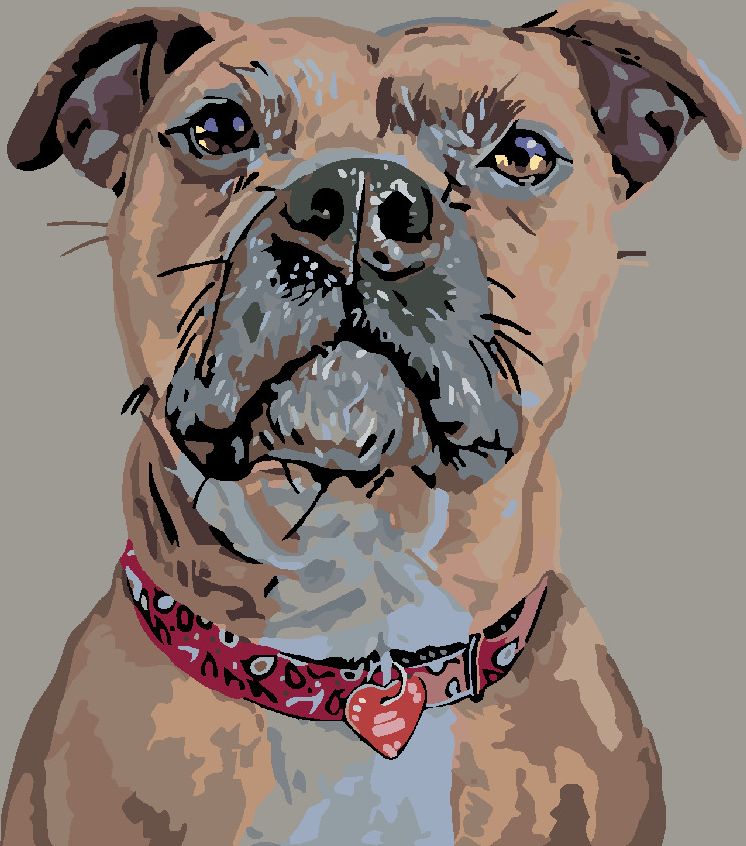 zuty Malování podle čísel - PES V POZORU A SRDÍČKOVÝ OBOJEK - Rozměr: 40x50 cm, Rámování: Varianta: vypnuté plátno na rám - obrázek 11