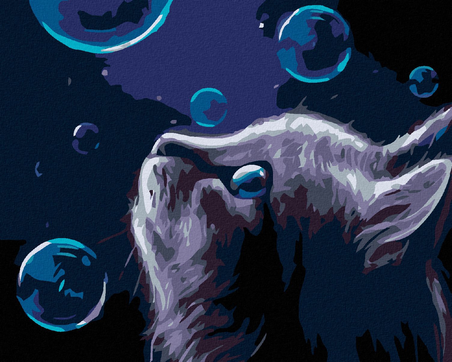 zuty Malování podle čísel - KOČKA A BUBLINY V NOCI - Rozměr: 40x50 cm, Rámování: Varianta: vypnuté plátno na rám - obrázek 1