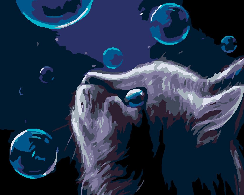 zuty Malování podle čísel - KOČKA A BUBLINY V NOCI - Rozměr: 40x50 cm, Rámování: Varianta: vypnuté plátno na rám - obrázek 9