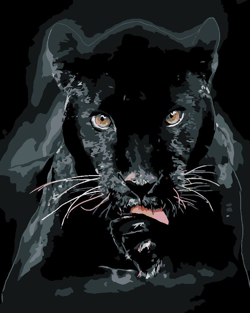 zuty Malování podle čísel - ČERNÁ PUMA - Rozměr: 40x50 cm, Rámování: Varianta: bez rámu a bez vypnutí plátna - obrázek 7