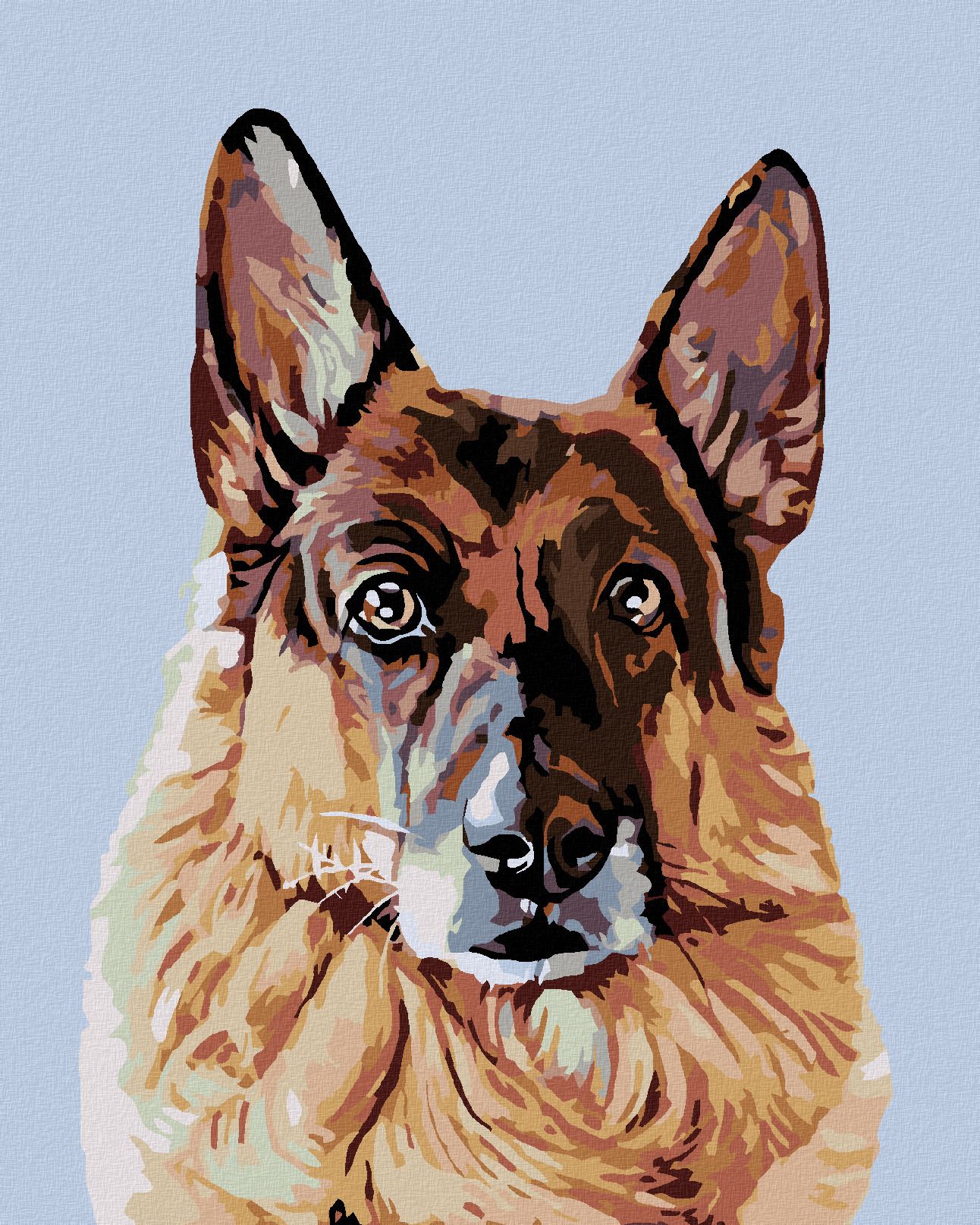zuty Malování podle čísel - HLEDÍCÍ NĚMECKÝ OVČÁK - Rozměr: 40x50 cm, Rámování: Varianta: vypnuté plátno na rám - obrázek 1