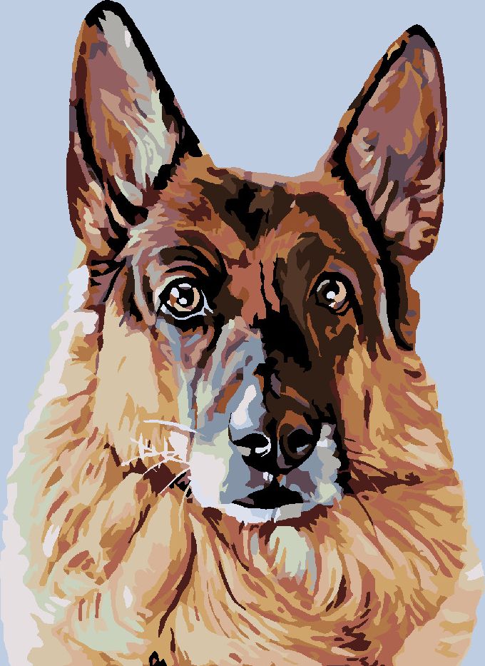 zuty Malování podle čísel - HLEDÍCÍ NĚMECKÝ OVČÁK - Rozměr: 40x50 cm, Rámování: Varianta: vypnuté plátno na rám - obrázek 9