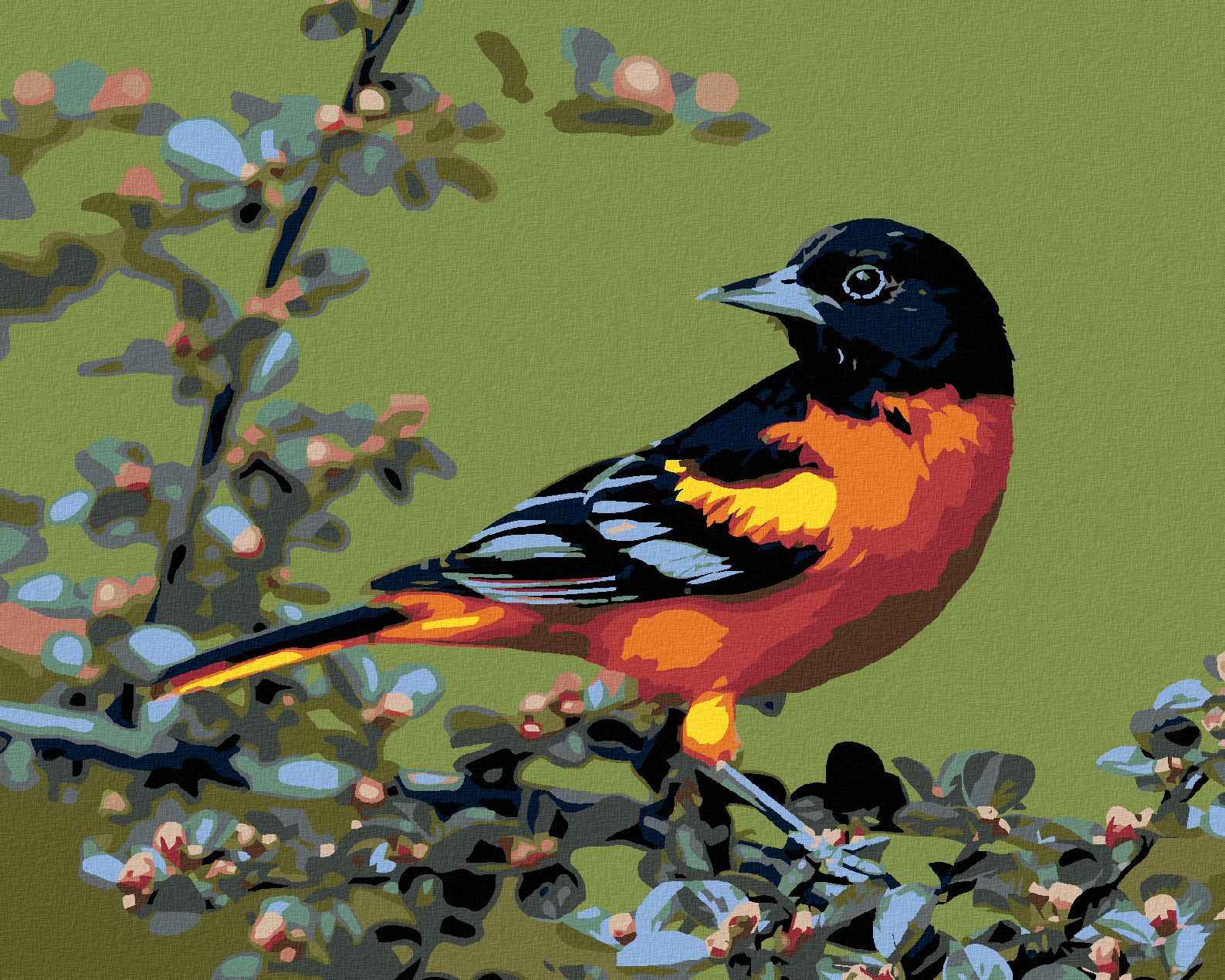 zuty Malování podle čísel - KARDINÁL ČERNOHLAVÝ - Rozměr: 40x50 cm, Rámování: Varianta: bez rámu a bez vypnutí plátna - obrázek 1