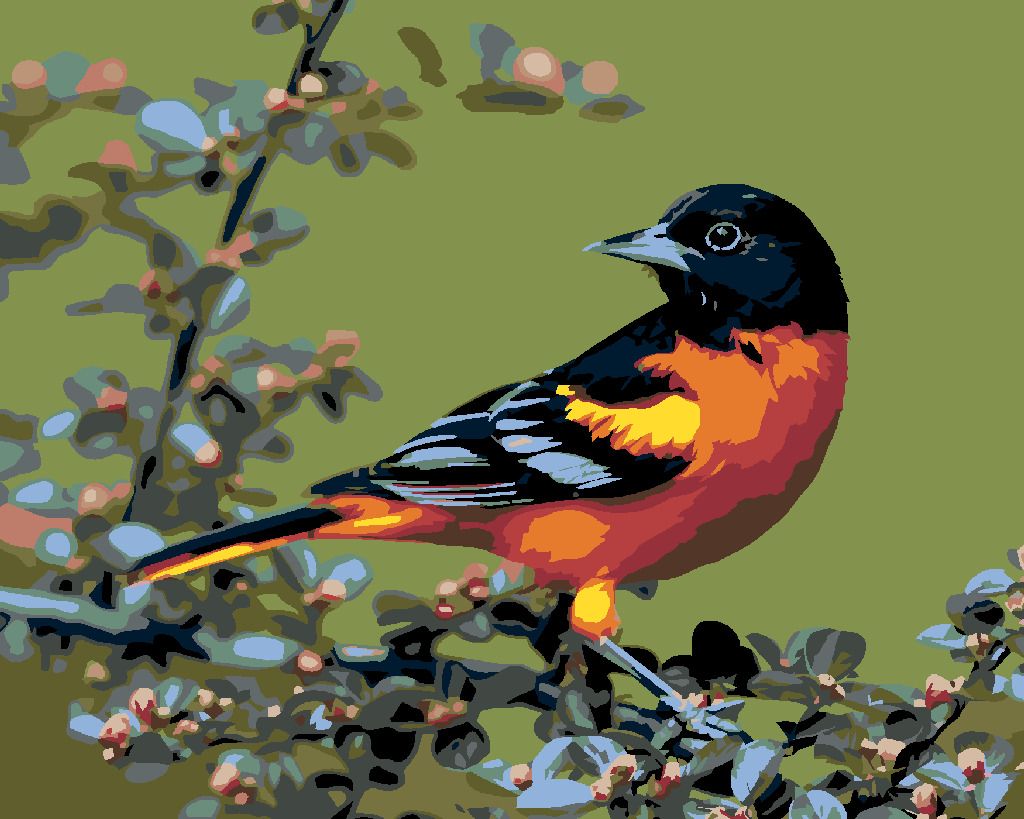 zuty Malování podle čísel - KARDINÁL ČERNOHLAVÝ - Rozměr: 40x50 cm, Rámování: Varianta: bez rámu a bez vypnutí plátna - obrázek 2