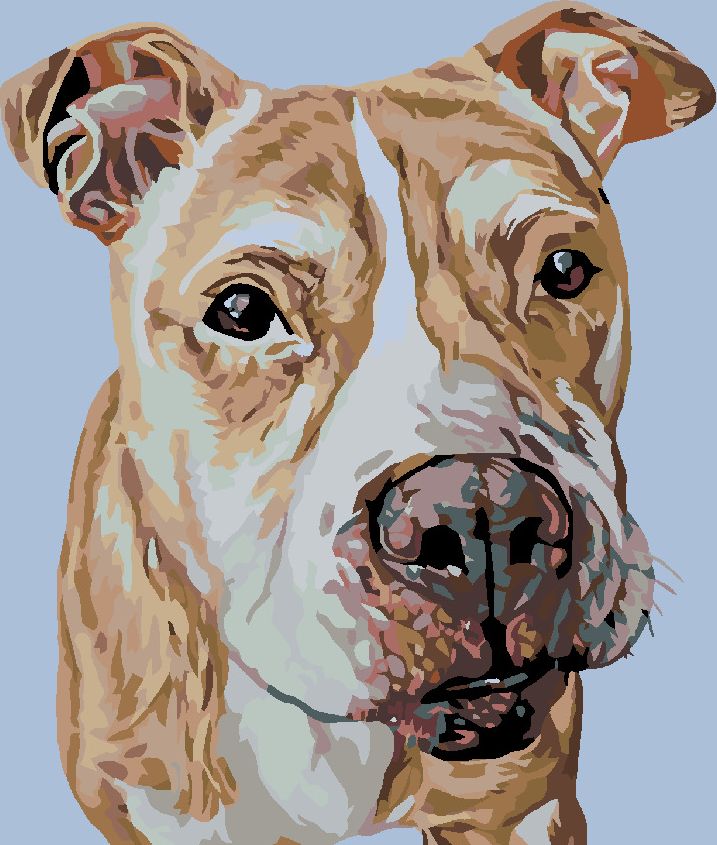 zuty Malování podle čísel - HNĚDÝ STAFORD - Rozměr: 40x50 cm, Rámování: Varianta: vypnuté plátno na rám - obrázek 10