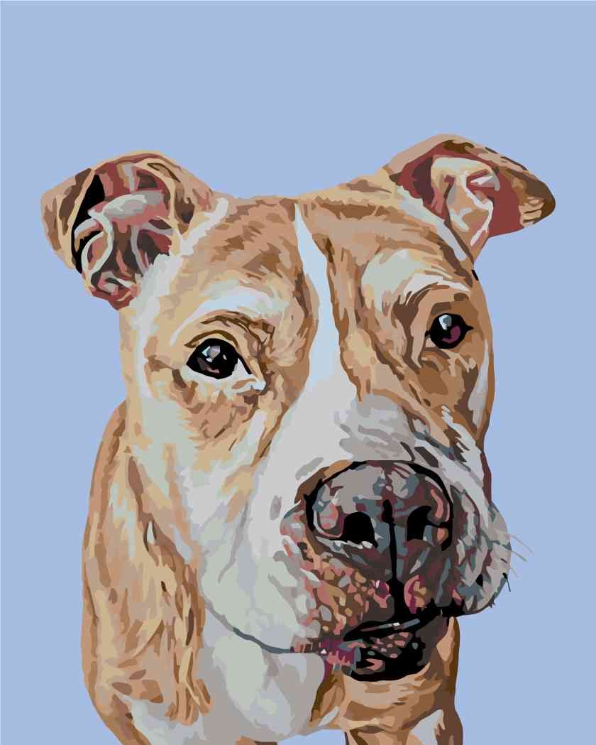 zuty Malování podle čísel - HNĚDÝ STAFORD - Rozměr: 40x50 cm, Rámování: Varianta: vypnuté plátno na rám - obrázek 11