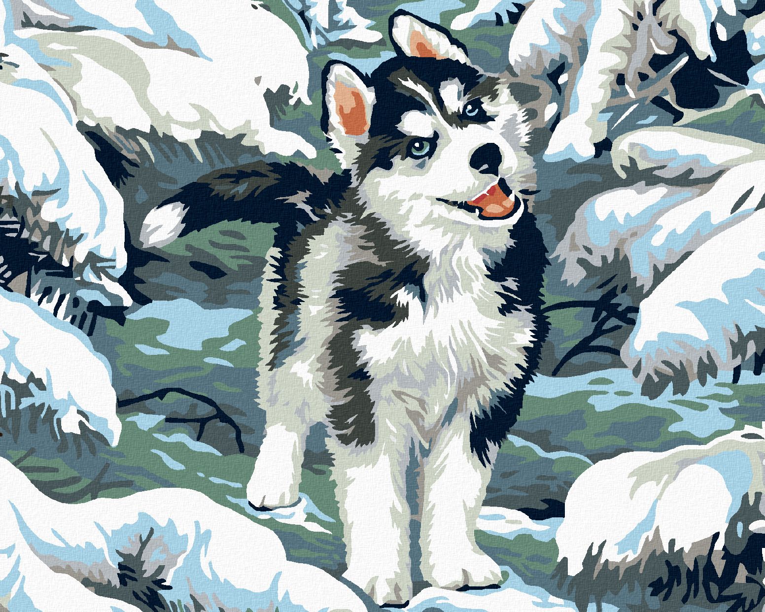 zuty Malování podle čísel - MALÝ HUSKY - Rozměr: 40x50 cm, Rámování: Varianta: vypnuté plátno na rám - obrázek 1
