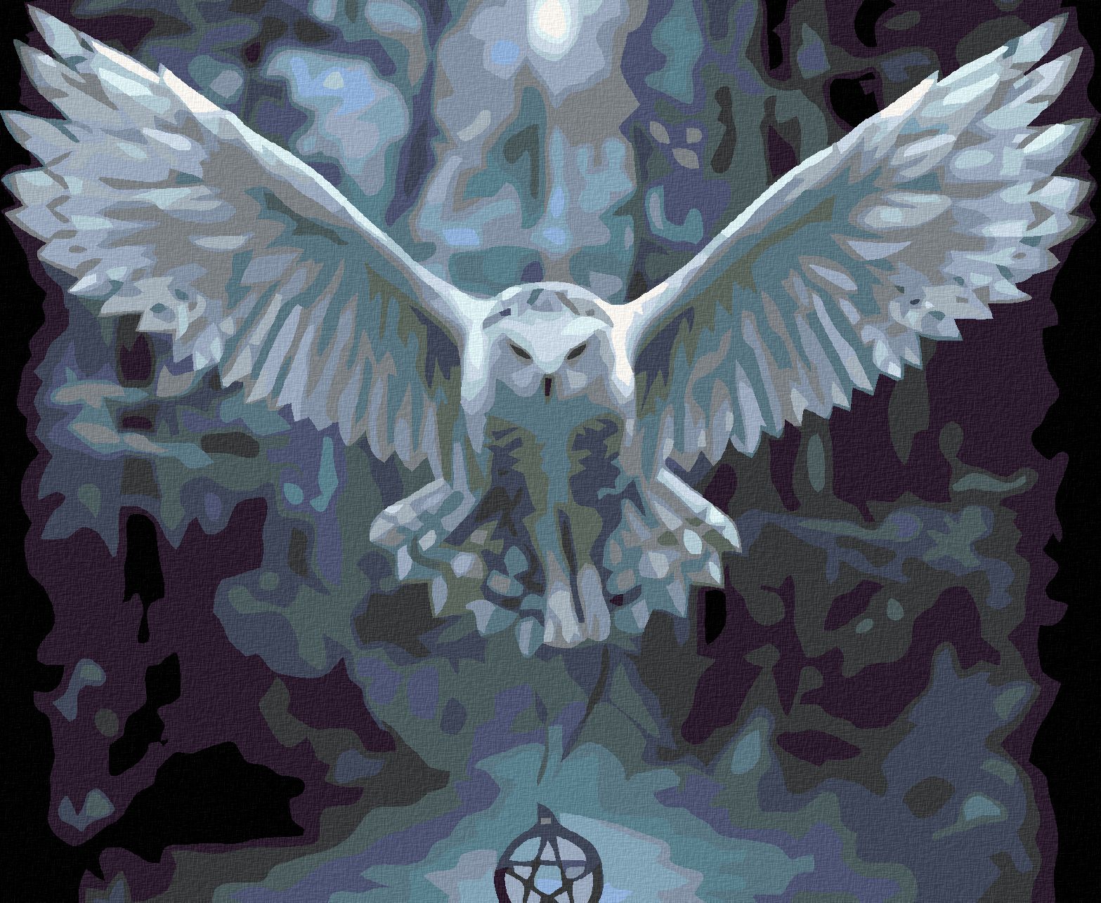 zuty Malování podle čísel - SOVA S PENTAGRAMEM - Rozměr: 40x50 cm, Rámování: Varianta: bez rámu a bez vypnutí plátna - obrázek 1