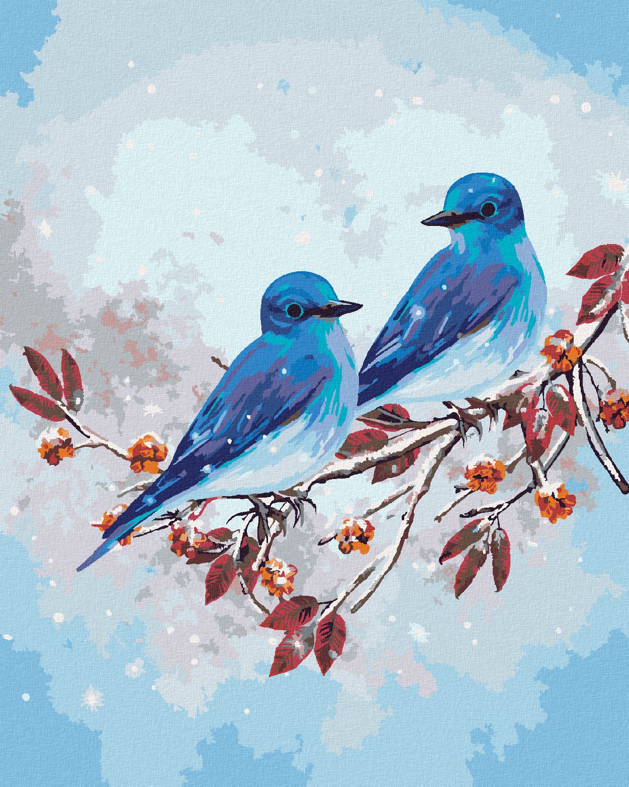 zuty Malování podle čísel - DVA MODŘÍ PTÁČCI NA VĚTVI - Rozměr: 40x50 cm, Rámování: Varianta: vypnuté plátno na rám - obrázek 1