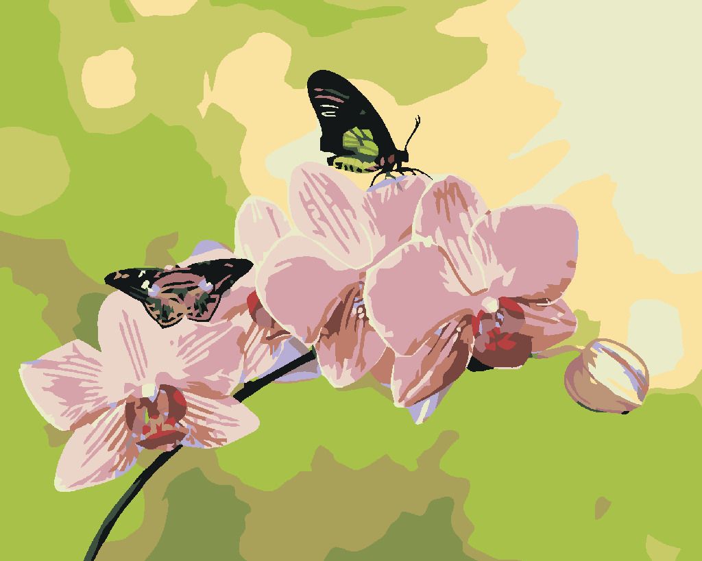 zuty Malování podle čísel - ORCHIDEJ S MOTÝLKY - Rozměr: 40x50 cm, Rámování: Varianta: bez rámu a bez vypnutí plátna - obrázek 8