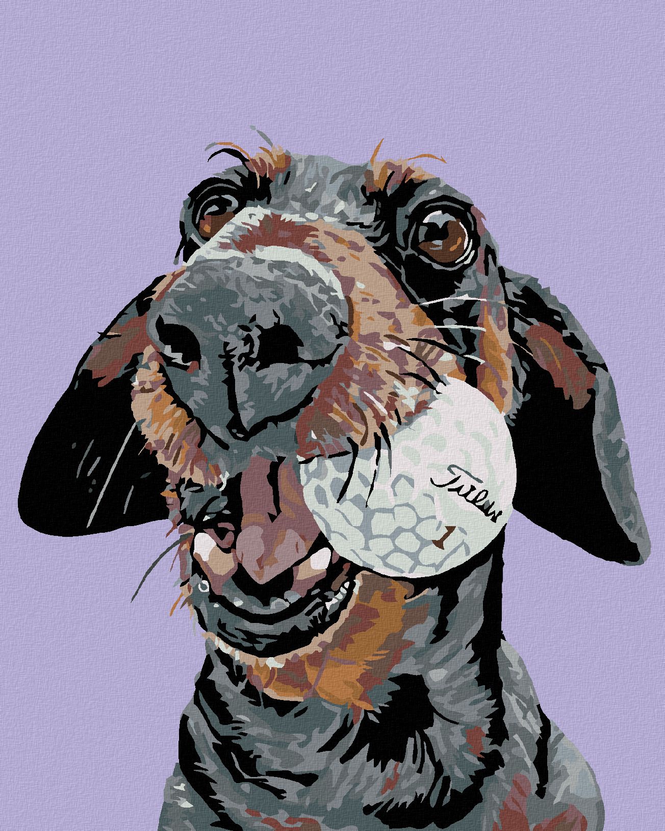 zuty Malování podle čísel - PES S GOLFOVÝM MÍČKEM - Rozměr: 40x50 cm, Rámování: Varianta: bez rámu a bez vypnutí plátna - obrázek 1