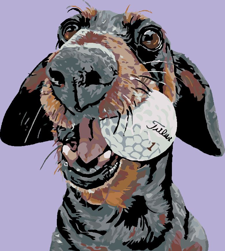 zuty Malování podle čísel - PES S GOLFOVÝM MÍČKEM - Rozměr: 40x50 cm, Rámování: Varianta: bez rámu a bez vypnutí plátna - obrázek 3