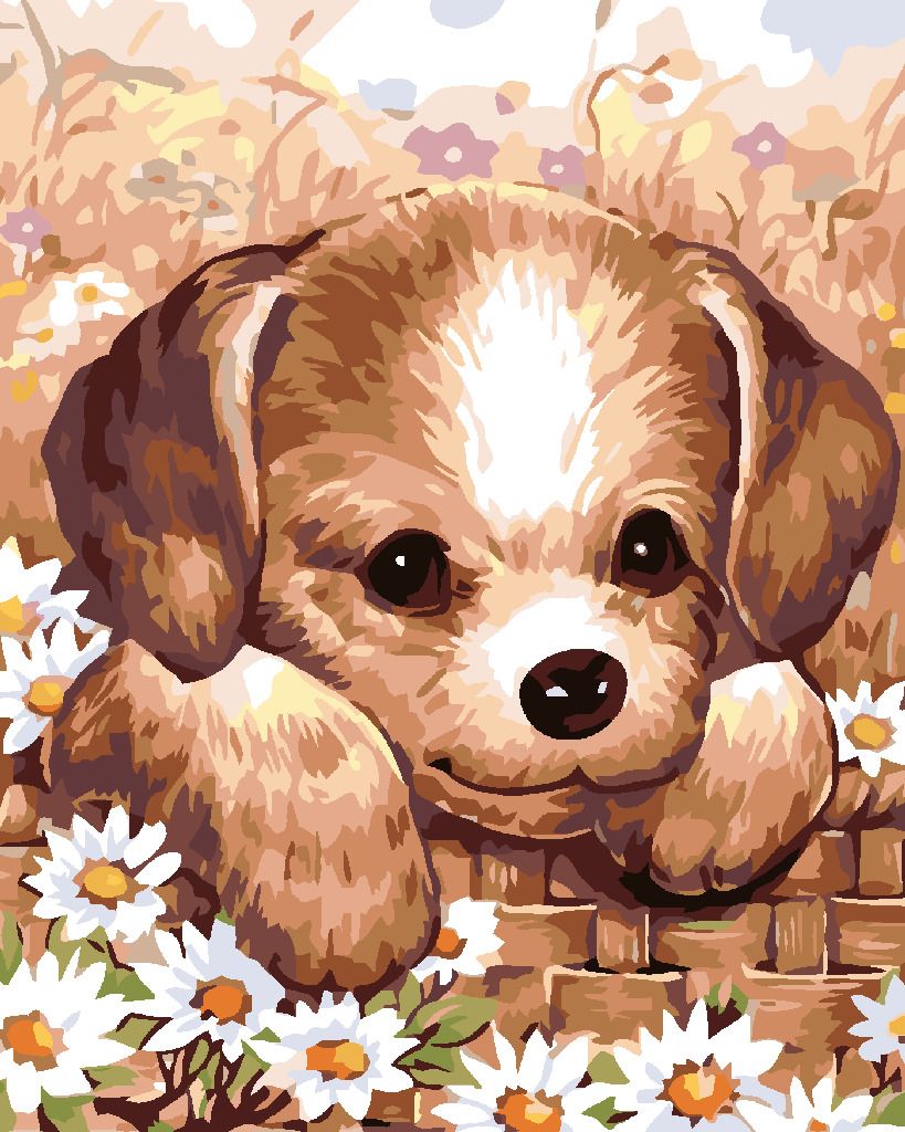 zuty Malování podle čísel - ŠTĚŇÁTKO - Rozměr: 40x50 cm, Rámování: Varianta: vypnuté plátno na rám - obrázek 3