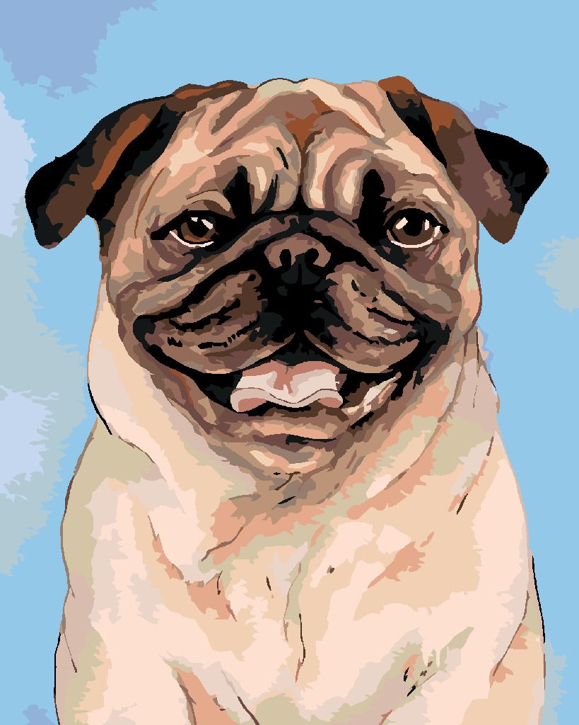 zuty Malování podle čísel - HNĚDÝ MOPSÍK - Rozměr: 40x50 cm, Rámování: Varianta: vypnuté plátno na rám - obrázek 2