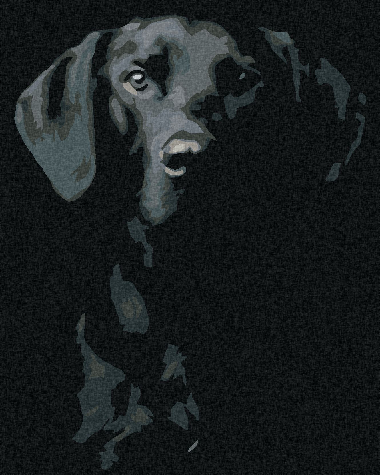 zuty Malování podle čísel - ČERNOBÍLÝ PES - Rozměr: 40x50 cm, Rámování: Varianta: vypnuté plátno na rám - obrázek 1