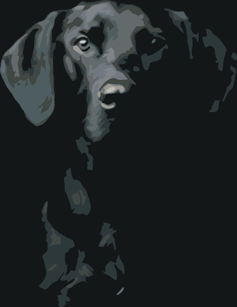 zuty Malování podle čísel - ČERNOBÍLÝ PES - Rozměr: 40x50 cm, Rámování: Varianta: vypnuté plátno na rám - obrázek 9