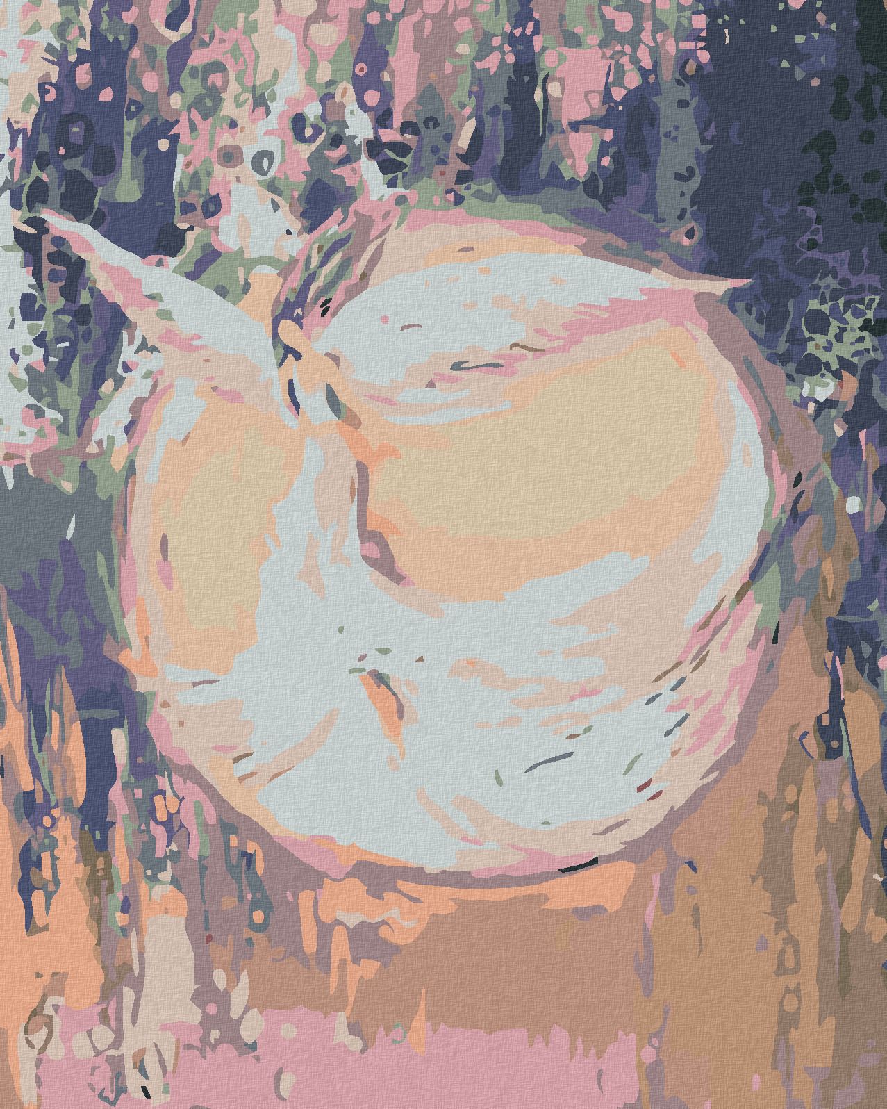zuty Malování podle čísel - ANDĚLÉ OD LENKY - DREAM ANGEL - Rozměr: 40x50 cm, Rámování: Varianta: vypnuté plátno na rám - obrázek 1