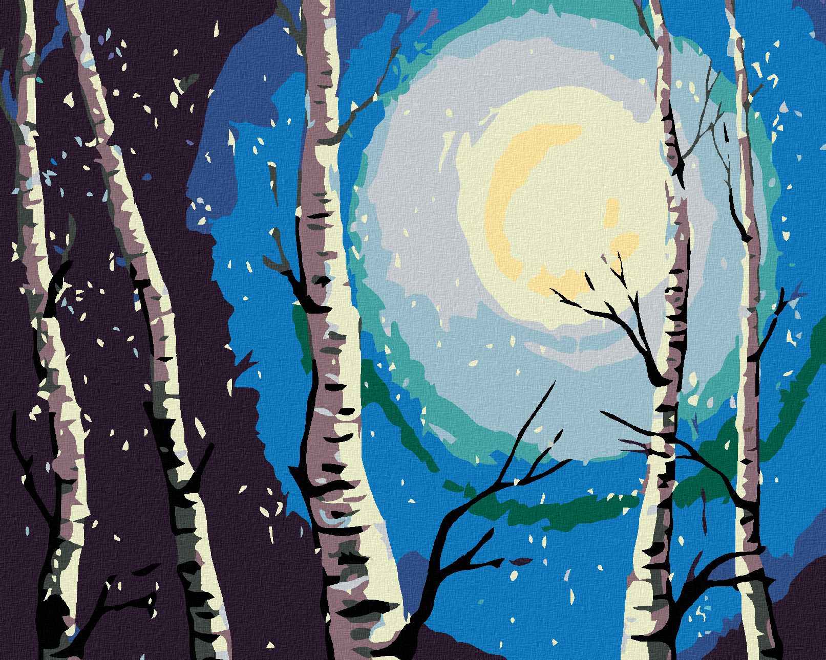 zuty Malování podle čísel - BŘÍZY, MĚSÍC A PADAJÍCÍ SNÍH - Rozměr: 40x50 cm, Rámování: Varianta: vypnuté plátno na rám - obrázek 1