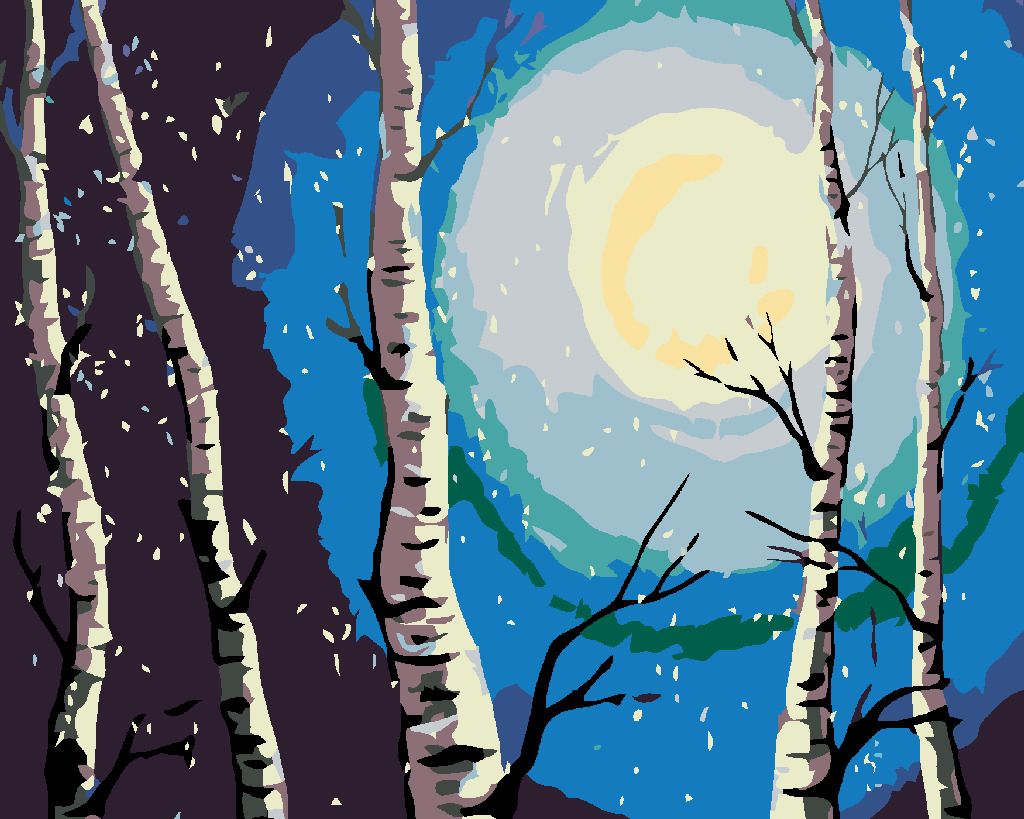 zuty Malování podle čísel - BŘÍZY, MĚSÍC A PADAJÍCÍ SNÍH - Rozměr: 40x50 cm, Rámování: Varianta: vypnuté plátno na rám - obrázek 6