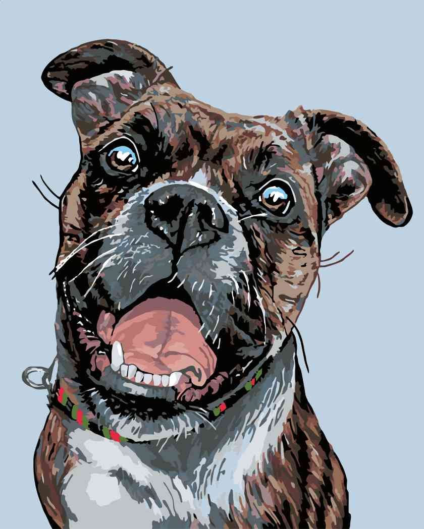 zuty Malování podle čísel - STARÝ TRHAČ - Rozměr: 40x50 cm, Rámování: Varianta: vypnuté plátno na rám - obrázek 3