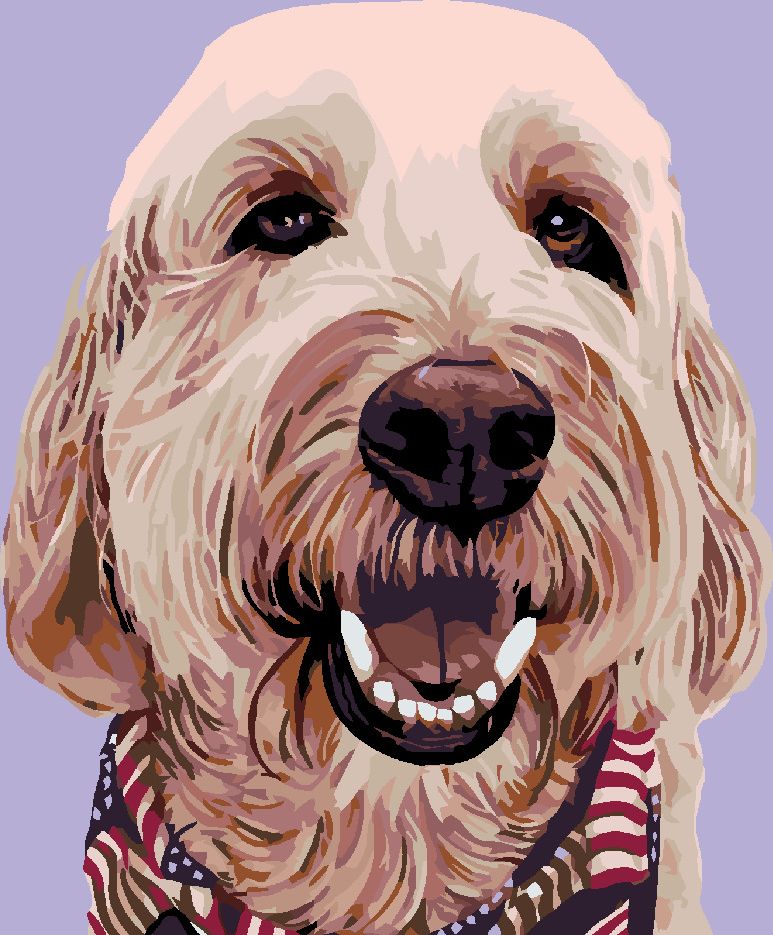 zuty Malování podle čísel - PES SE ŠÁTKEM - Rozměr: 40x50 cm, Rámování: Varianta: vypnuté plátno na rám - obrázek 6