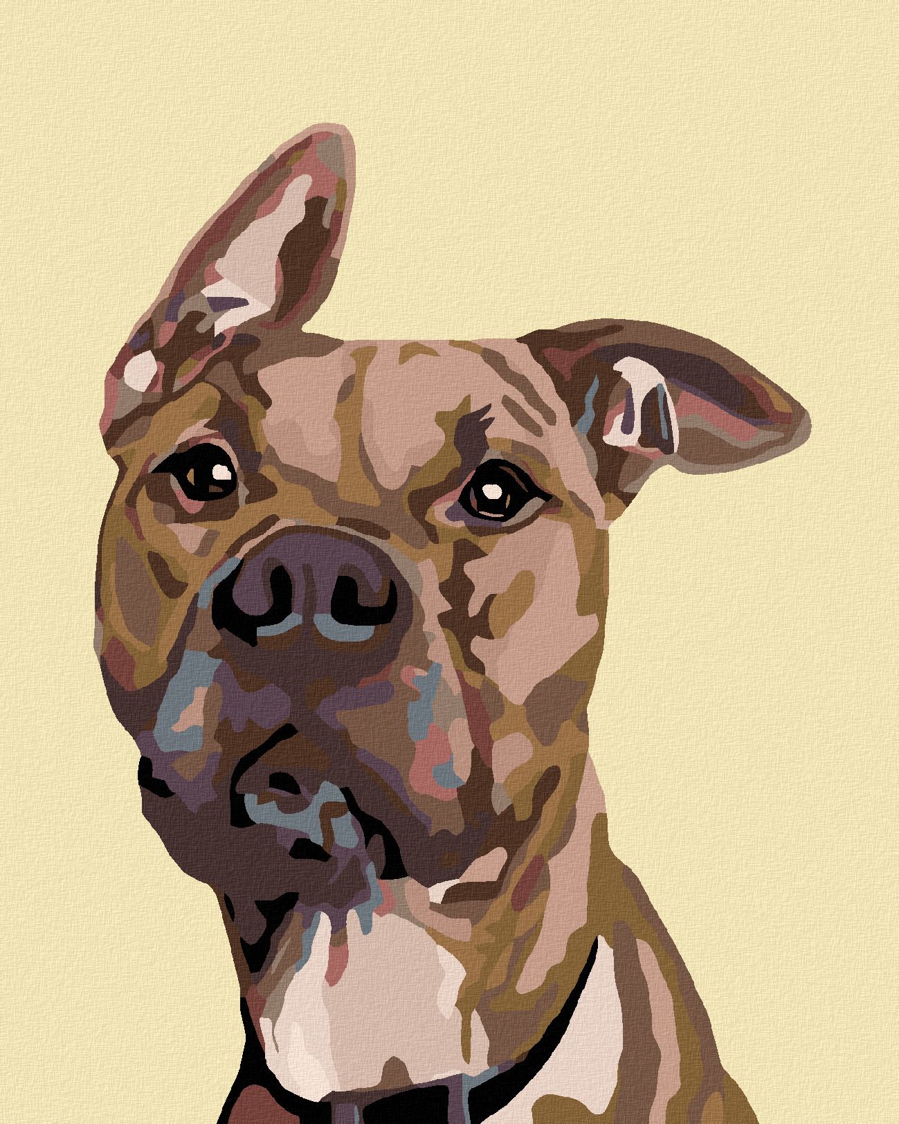 zuty Malování podle čísel - PES S NASTRAŽENÝM UCHEM - Rozměr: 40x50 cm, Rámování: Varianta: vypnuté plátno na rám - obrázek 1