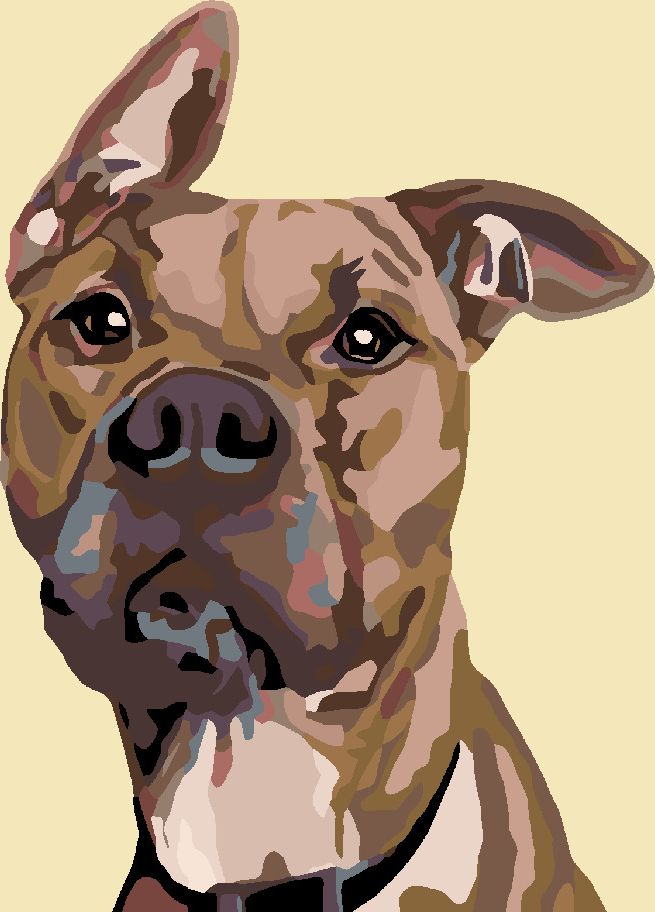 zuty Malování podle čísel - PES S NASTRAŽENÝM UCHEM - Rozměr: 40x50 cm, Rámování: Varianta: vypnuté plátno na rám - obrázek 11