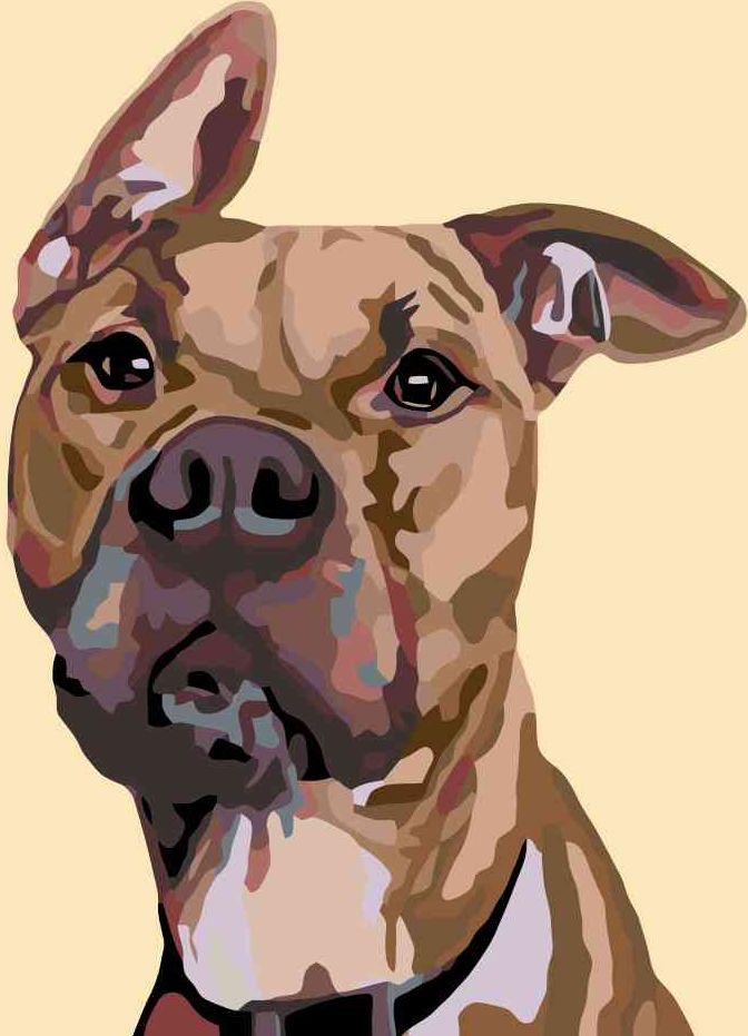 zuty Malování podle čísel - PES S NASTRAŽENÝM UCHEM - Rozměr: 40x50 cm, Rámování: Varianta: vypnuté plátno na rám - obrázek 15