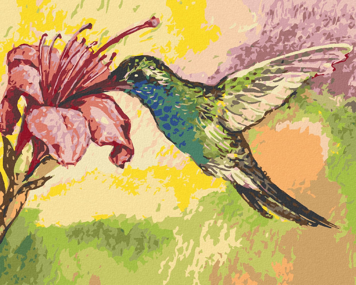 zuty Malování podle čísel - KOLIBŘÍK A RŮŽOVÁ KVĚTINA - Rozměr: 40x50 cm, Rámování: Varianta: bez rámu a bez vypnutí plátna - obrázek 1