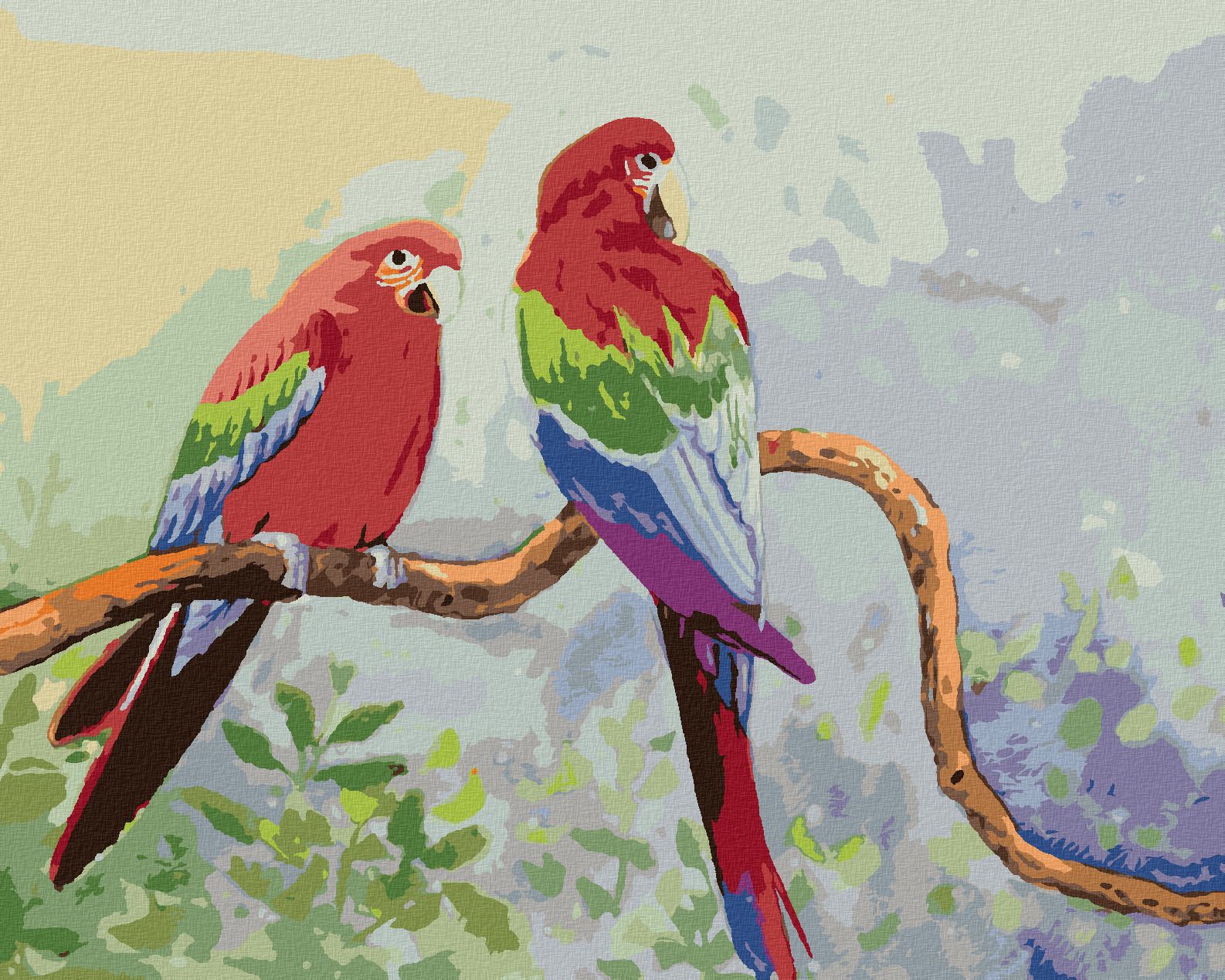 zuty Malování podle čísel - BAREVNÍ PAPOUŠCI NA VĚTVI - Rozměr: 40x50 cm, Rámování: Varianta: vypnuté plátno na rám - obrázek 1
