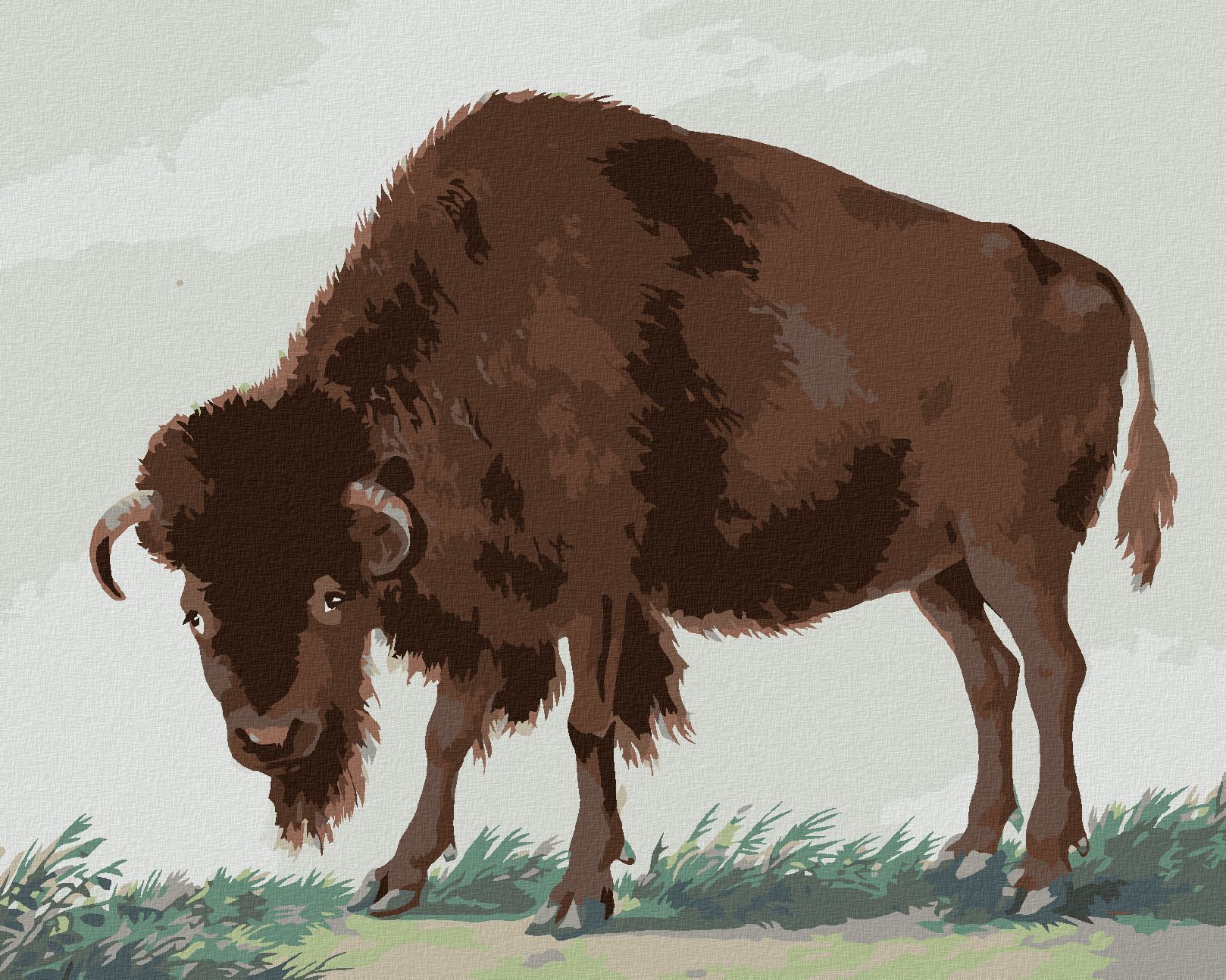 zuty Malování podle čísel - BIZON (I. VAN HAASTERT) - Rozměr: 40x50 cm, Rámování: Varianta: vypnuté plátno na rám - obrázek 1