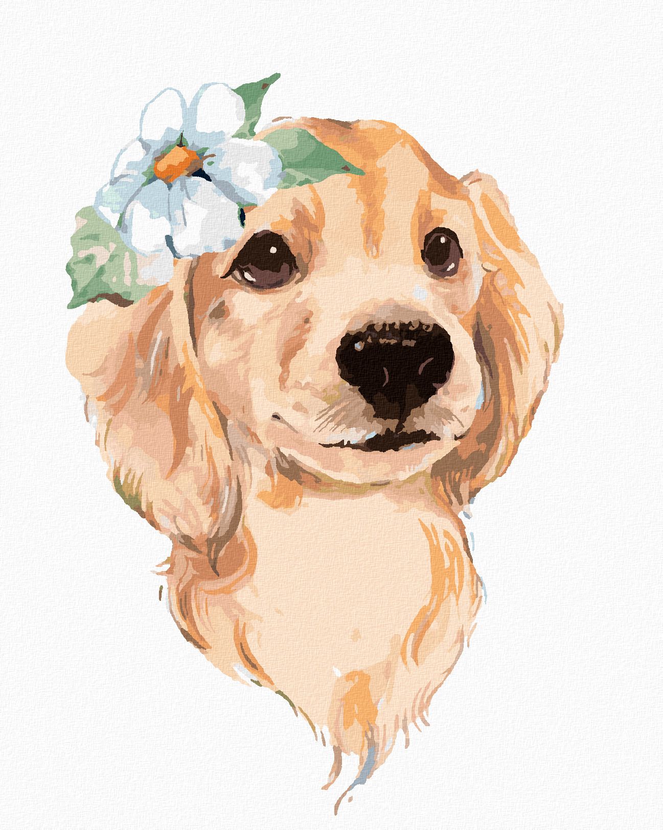 zuty Malování podle čísel - ROZTOMILÝ PES A BÍLÁ KVĚTINA - Rozměr: 40x50 cm, Rámování: Varianta: vypnuté plátno na rám - obrázek 1